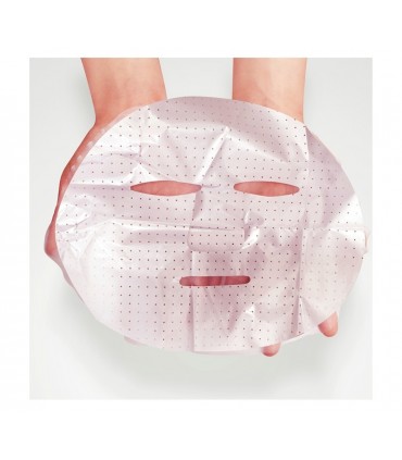 Masque Fleur de Camélia - Masque hydratant naturel - Masque en tissu 25ml