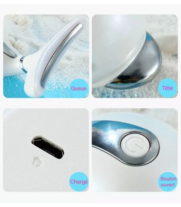 Appareil anti-rides LED 3D Dauphin en 3 couleurs de lumières massages pour le visage et le cou