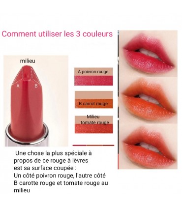 Rouge à lèvres Ansel - Rouge à lèvres changement en 3 couleurs différentes (3,8g)