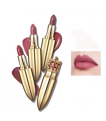 Rouge à lèvres Ucanbe - Rouge à lèvres mat imperméable durable (3,5g)