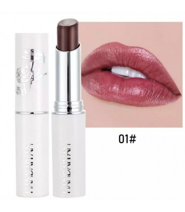 Rouge à lèvres Handaiyan - Rouge à lèvres mat longue durable (3,2g)