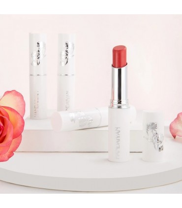 Rouge à lèvres Handaiyan - Rouge à lèvres mat longue durable (3,2g)