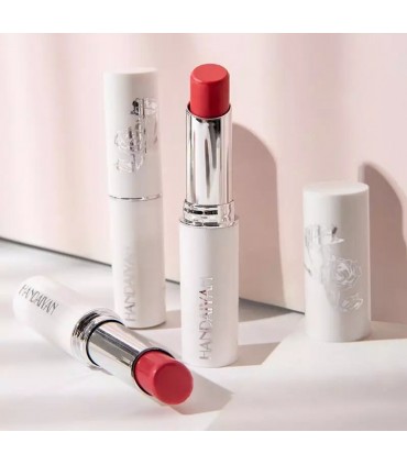 Rouge à lèvres Handaiyan - Rouge à lèvres mat longue durable (3,2g)