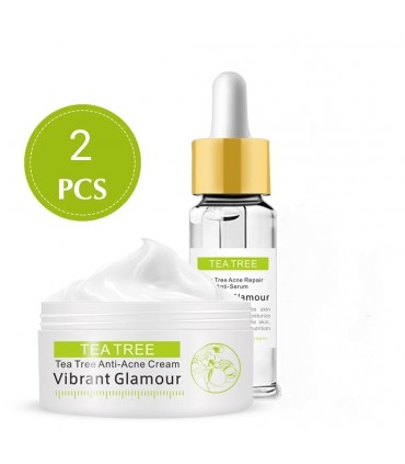 Routine soins visage Thé Vert - Ensemble soin visage anti-acné anti- vieillissement contrôle de l'huile (2 pièces)