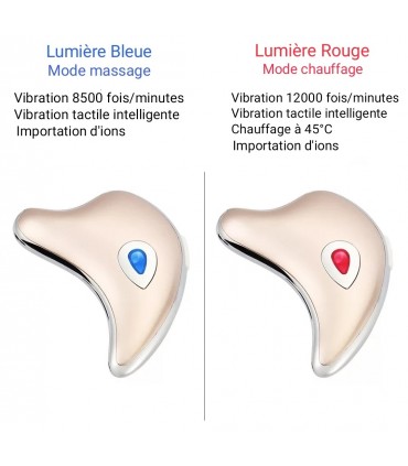 Appareil anti-rides LED 3D en 2 couleurs de lumières massages pour le visage et le cou