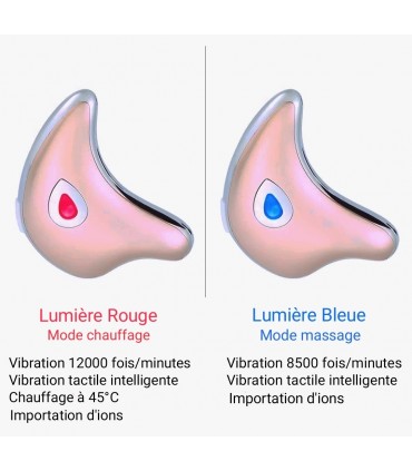 Appareil anti-rides LED 3D en 2 couleurs de lumières massages pour le visage et le cou