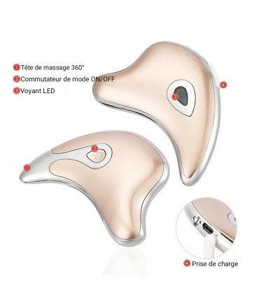Appareil anti-rides LED 3D en 2 couleurs de lumières massages pour le visage et le cou