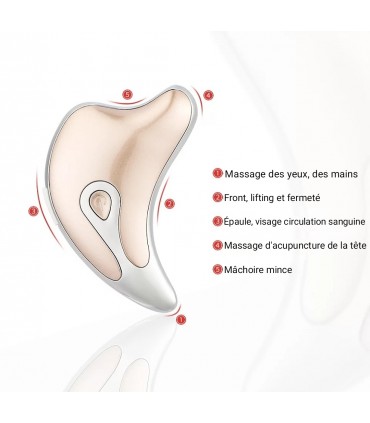 Appareil anti-rides LED 3D en 2 couleurs de lumières massages pour le visage et le cou