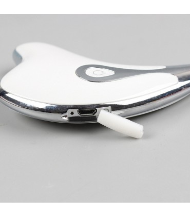 Appareil anti-rides LED 3D en 2 couleurs de lumières massages pour le visage et le cou