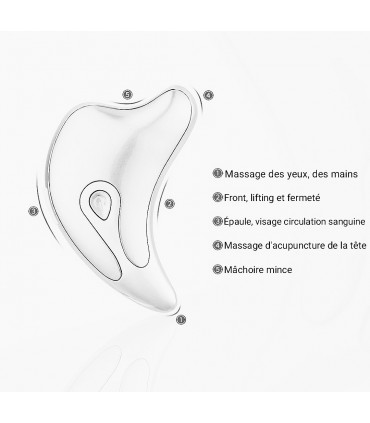 Appareil anti-rides LED 3D en 2 couleurs de lumières massages pour le visage et le cou